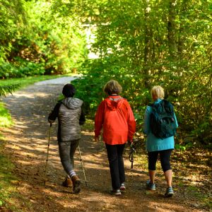 GroundingInNature_20 (1)