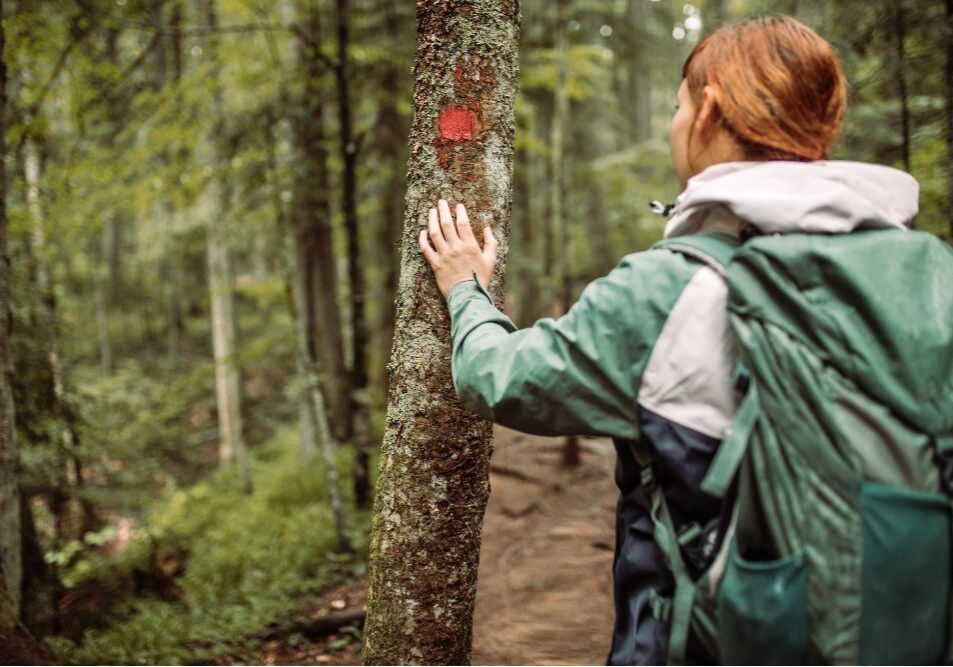 GorundingInNature_ 26