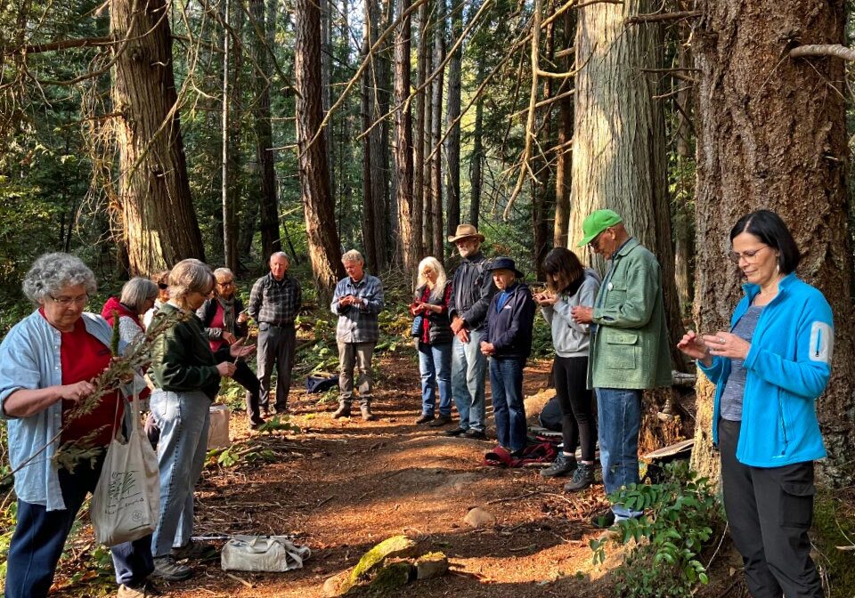 GroundingInNature_23